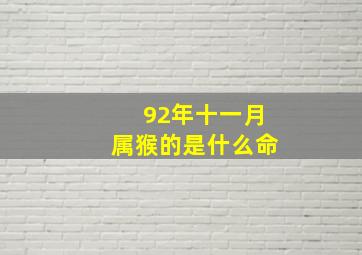 92年十一月属猴的是什么命