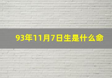 93年11月7日生是什么命