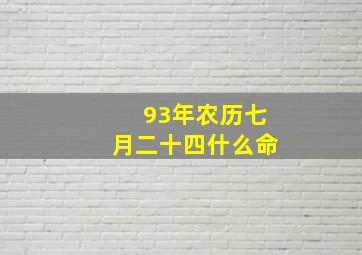 93年农历七月二十四什么命