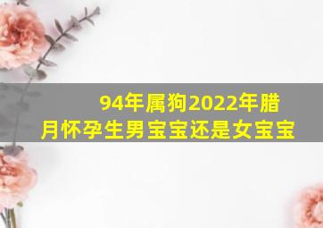 94年属狗2022年腊月怀孕生男宝宝还是女宝宝