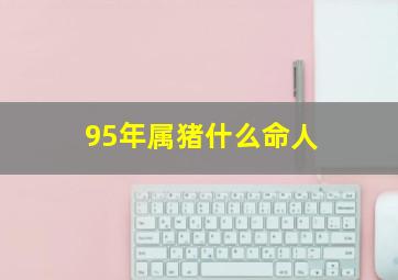 95年属猪什么命人