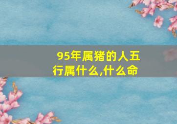 95年属猪的人五行属什么,什么命