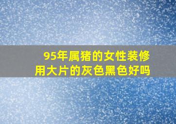 95年属猪的女性装修用大片的灰色黑色好吗