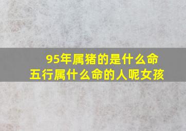 95年属猪的是什么命五行属什么命的人呢女孩