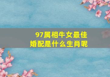 97属相牛女最佳婚配是什么生肖呢