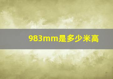 983mm是多少米高