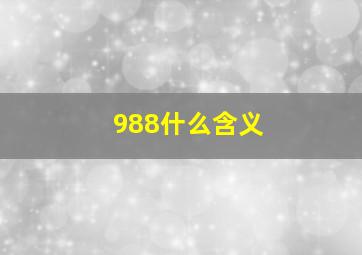 988什么含义