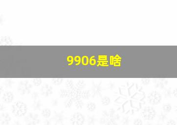 9906是啥