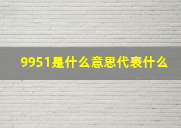 9951是什么意思代表什么