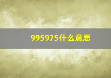 995975什么意思