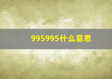 995995什么意思