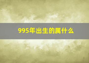 995年出生的属什么