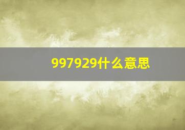 997929什么意思