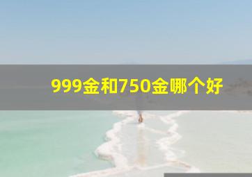 999金和750金哪个好