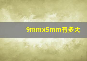 9mmx5mm有多大