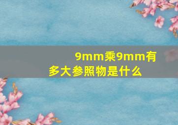 9mm乘9mm有多大参照物是什么