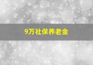 9万社保养老金