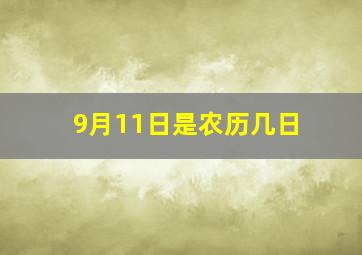 9月11日是农历几日