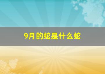 9月的蛇是什么蛇