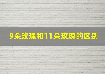 9朵玫瑰和11朵玫瑰的区别