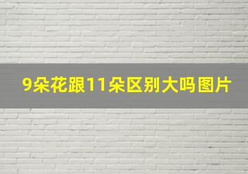 9朵花跟11朵区别大吗图片