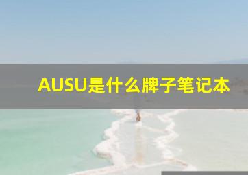 AUSU是什么牌子笔记本