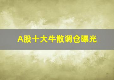 A股十大牛散调仓曝光