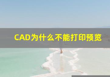 CAD为什么不能打印预览