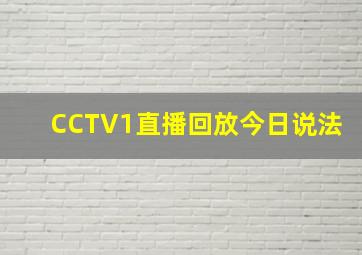 CCTV1直播回放今日说法