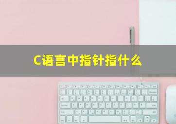 C语言中指针指什么