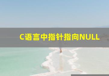 C语言中指针指向NULL