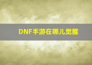 DNF手游在哪儿觉醒