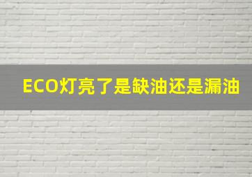 ECO灯亮了是缺油还是漏油