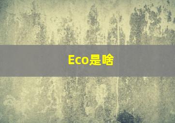 Eco是啥