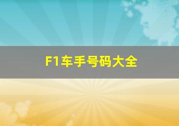 F1车手号码大全