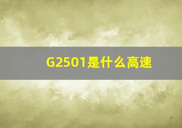 G2501是什么高速