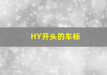 HY开头的车标