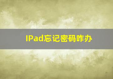 IPad忘记密码咋办