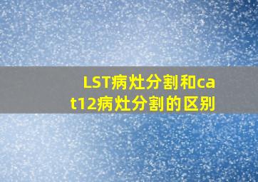 LST病灶分割和cat12病灶分割的区别