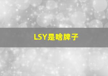 LSY是啥牌子