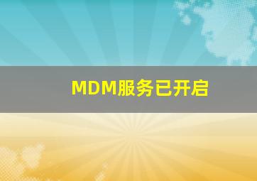 MDM服务已开启