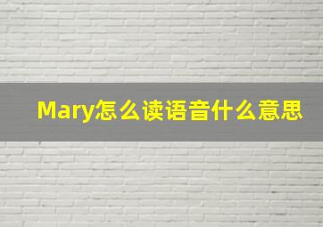 Mary怎么读语音什么意思