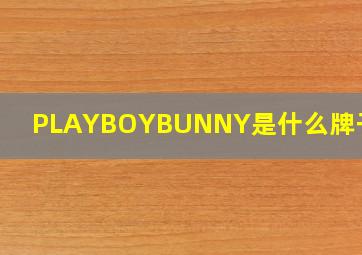 PLAYBOYBUNNY是什么牌子的包