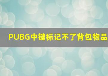 PUBG中键标记不了背包物品