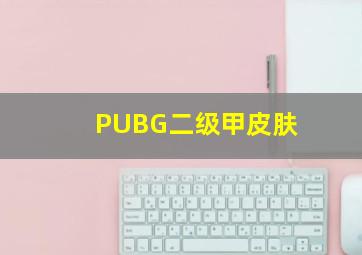 PUBG二级甲皮肤