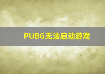 PUBG无法启动游戏