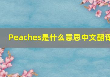 Peaches是什么意思中文翻译