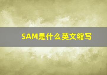 SAM是什么英文缩写