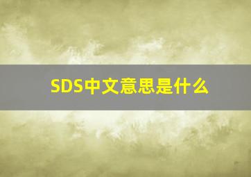 SDS中文意思是什么