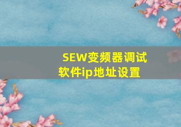 SEW变频器调试软件ip地址设置